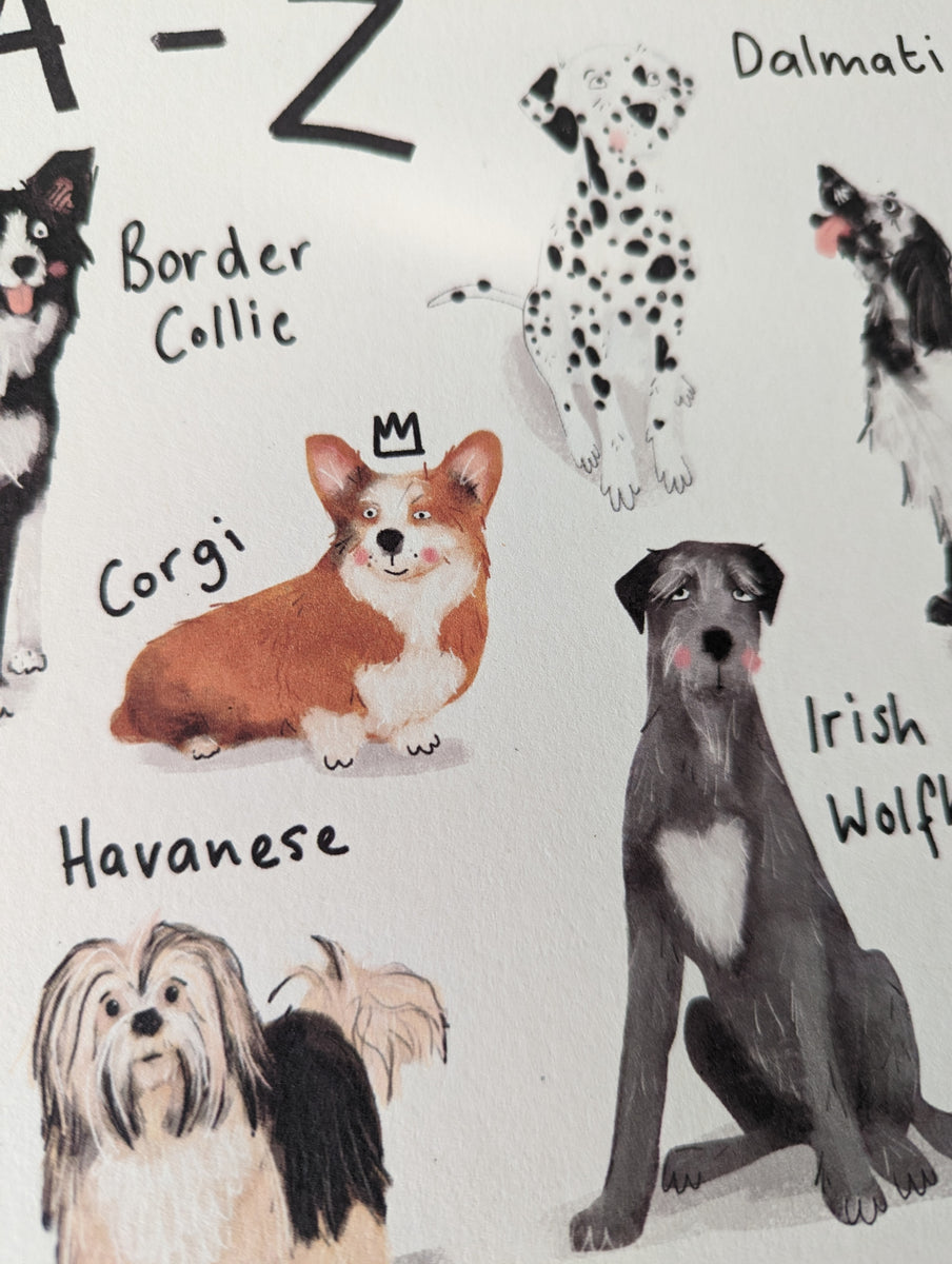 A3 A-Z Dogs Alphabet Print – Susanna Banks Art