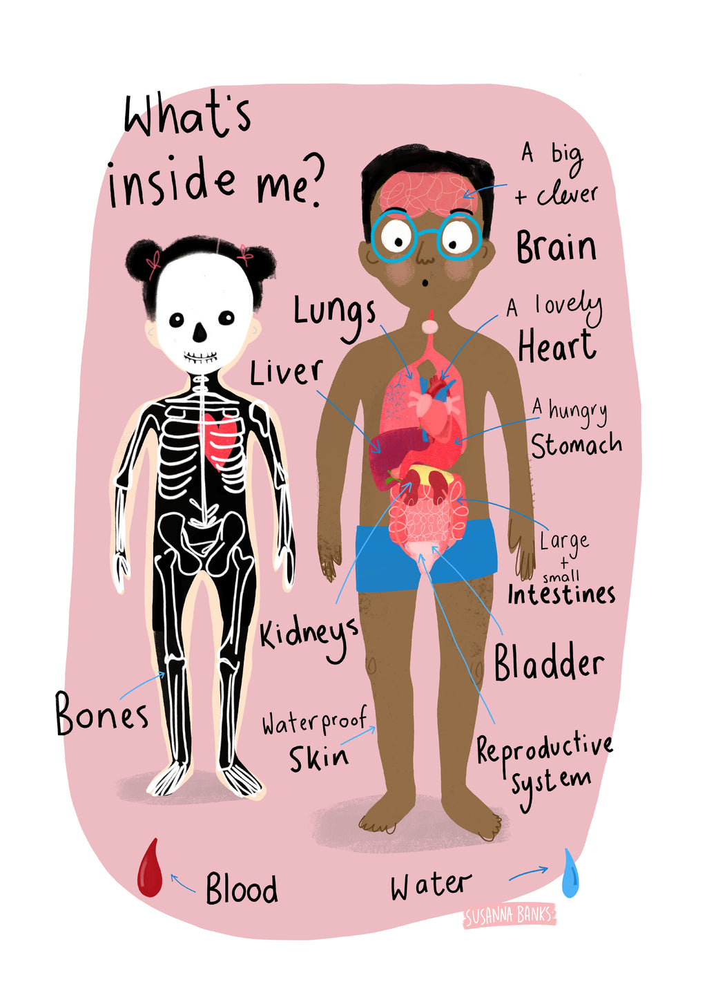 What's Inside me? | Human Body Print | Educational print | Homeschool | Nursery | Playroom