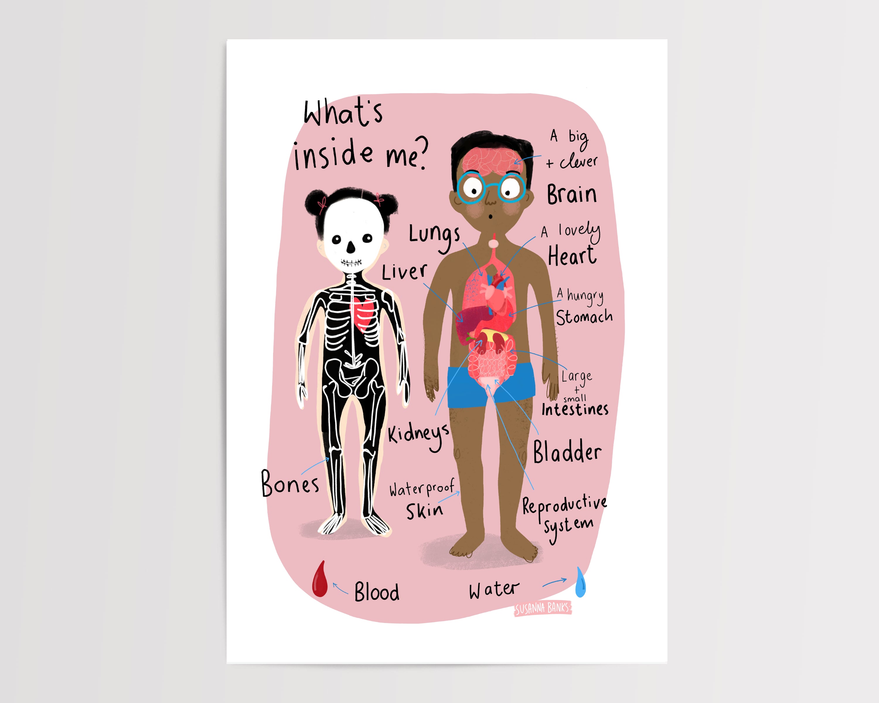 What's Inside me? | Human Body Print | Educational print | Homeschool | Nursery | Playroom