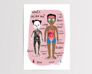 What's Inside me? | Human Body Print | Educational print | Homeschool | Nursery | Playroom