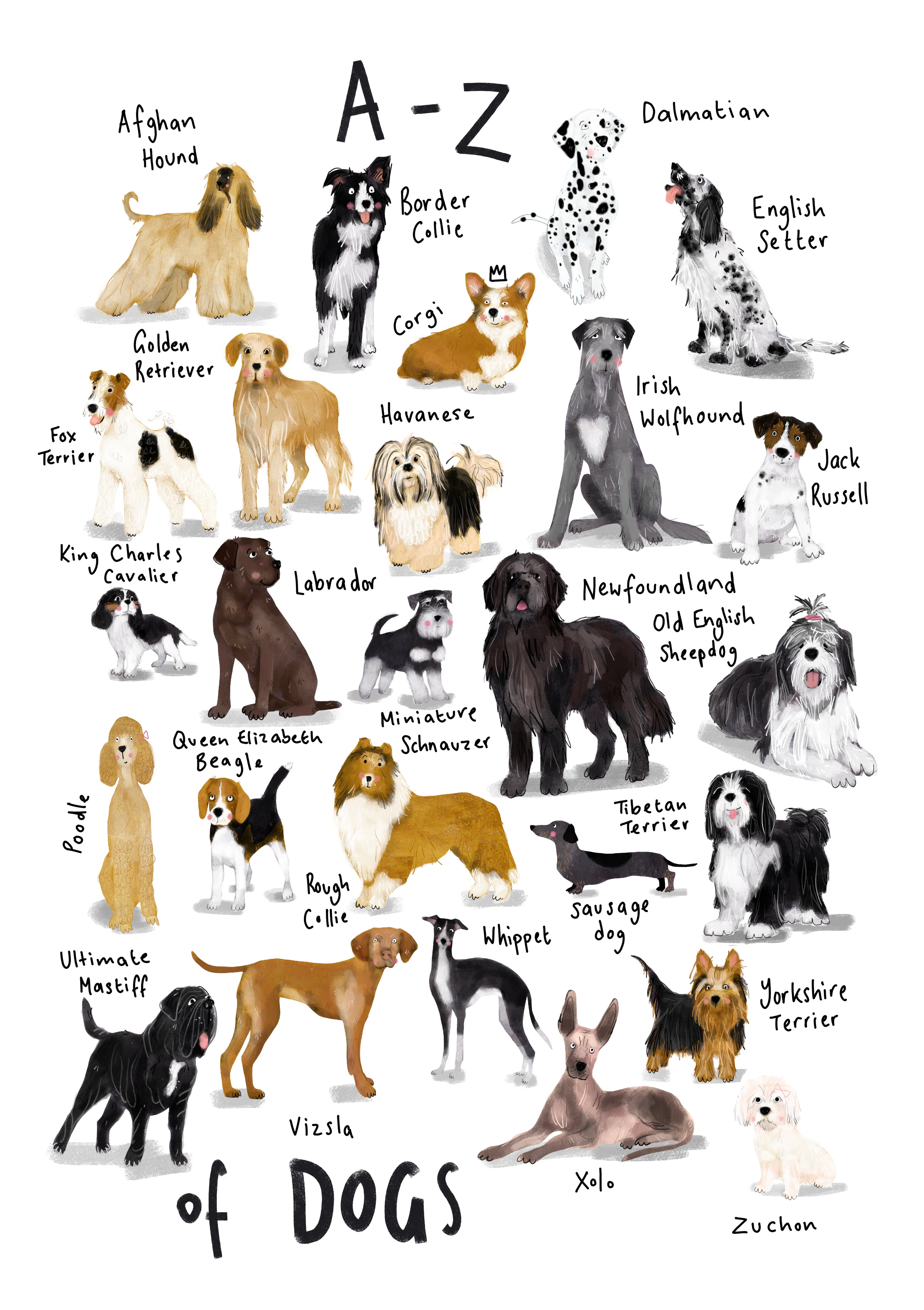 A3 A-Z Dogs Alphabet Print