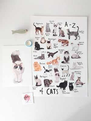 A3 A-Z Cats Alphabet Print