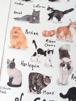 A3 A-Z Cats Alphabet Print