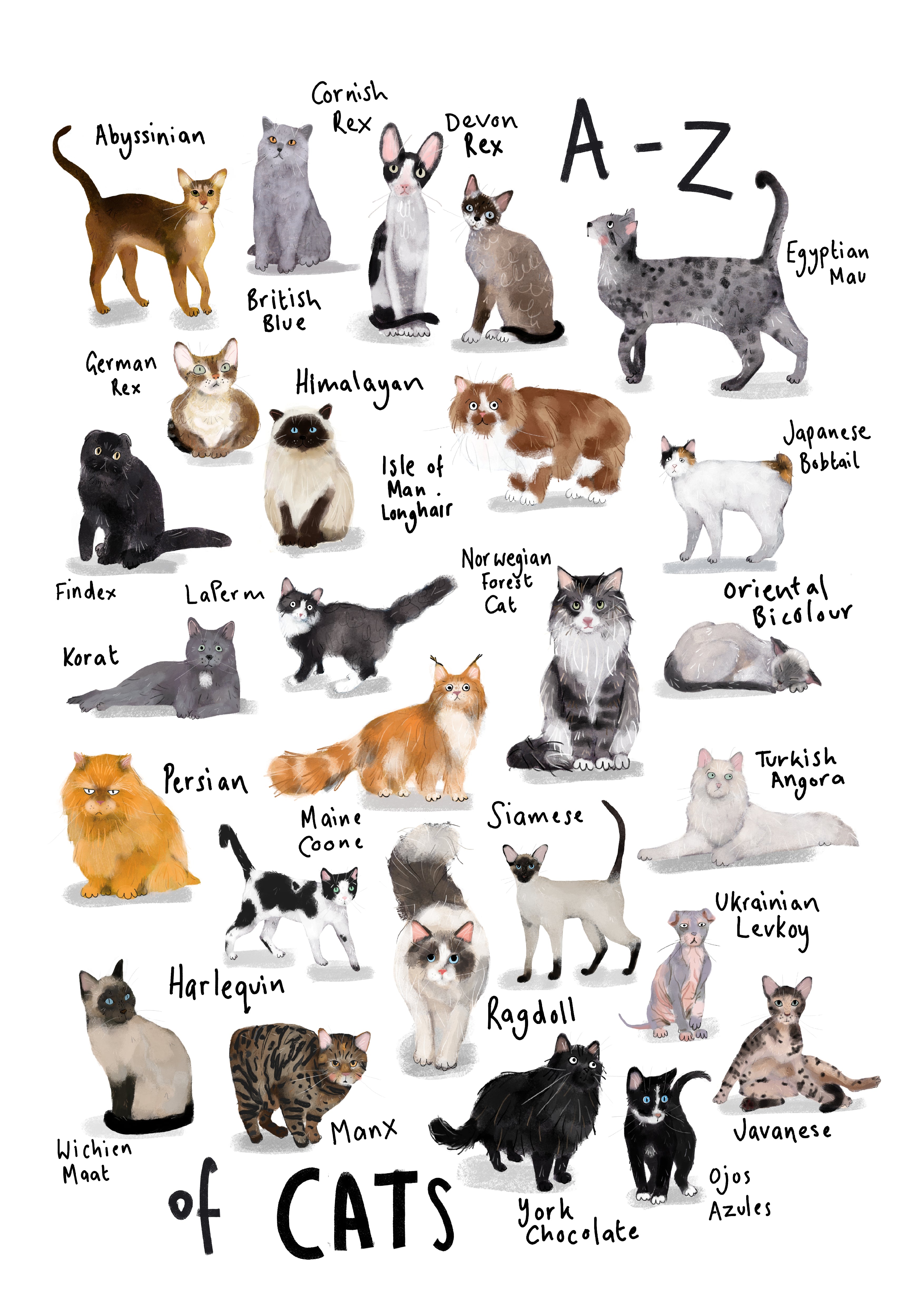 A3 A-Z Cats Alphabet Print