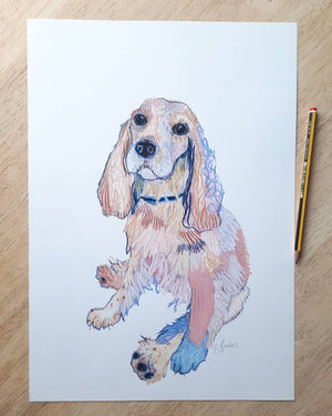 Custom Pet Portrait
